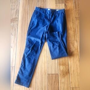 Gap Navy Chinos